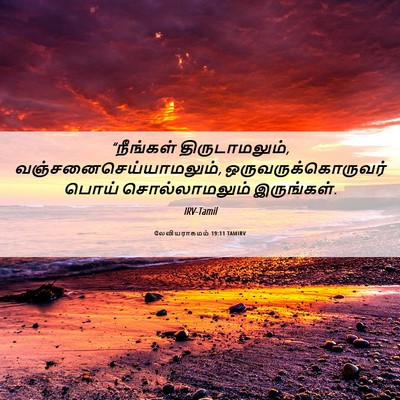 Picture 06 - லேவியராகமம் 19:11 TAMIRV - “நீங்கள் - Bible Verse Picture