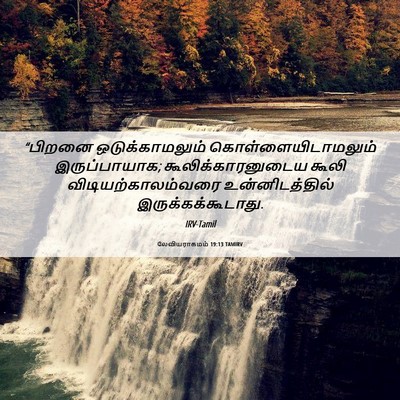 Picture 06 - லேவியராகமம் 19:13 TAMIRV - “பிறனை - Bible Verse Picture
