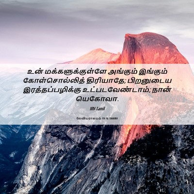 Picture 06 - லேவியராகமம் 19:16 TAMIRV - உன் - Bible Verse Picture