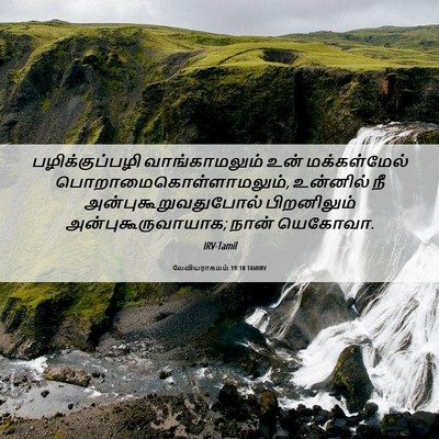 Picture 06 - லேவியராகமம் 19:18 TAMIRV - பழிக்குப்பழி - Bible Verse Picture