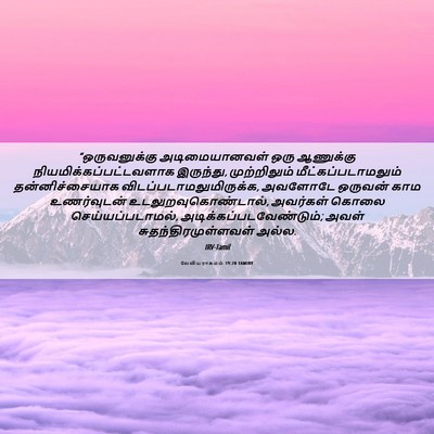 Picture 06 - லேவியராகமம் 19:20 TAMIRV - “ஒருவனுக்கு - Bible Verse Picture