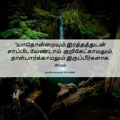 Picture 06 - லேவியராகமம் 19:26 TAMIRV - “யாதொன்றையும் - Bible Verse Picture
