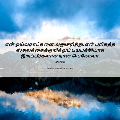 Picture 06 - லேவியராகமம் 19:30 TAMIRV - என் ஓய்வுநாட்களை - Bible Verse Picture