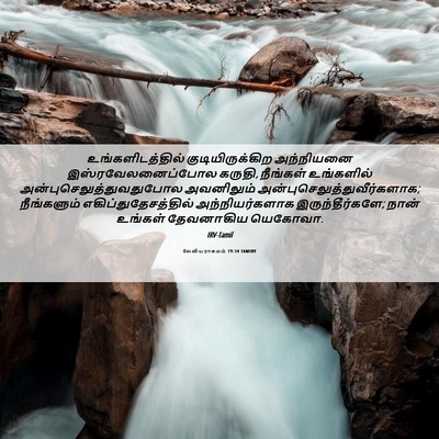 Picture 06 - லேவியராகமம் 19:34 TAMIRV - உங்களிடத்தில் - Bible Verse Picture