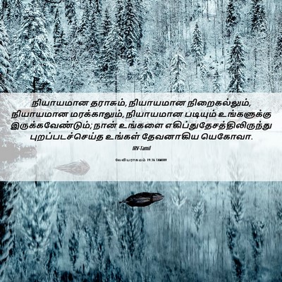 Picture 06 - லேவியராகமம் 19:36 TAMIRV - நியாயமான தராசும், - Bible Verse Picture