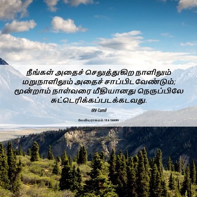 Picture 06 - லேவியராகமம் 19:6 TAMIRV - நீங்கள் அதைச் - Bible Verse Picture