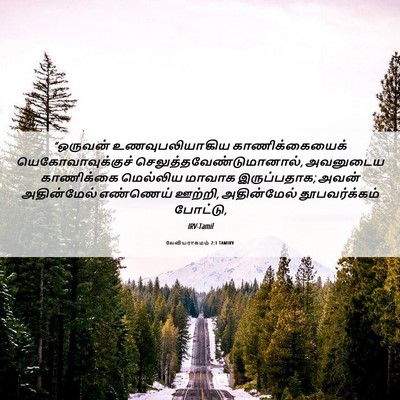 Picture 06 - லேவியராகமம் 2:1 TAMIRV - “ஒருவன் - Bible Verse Picture