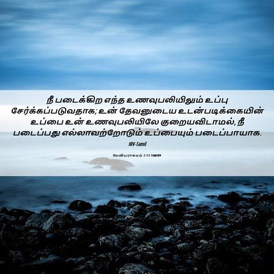 Picture 06 - லேவியராகமம் 2:13 TAMIRV - நீ படைக்கிற எந்த - Bible Verse Picture