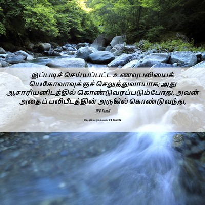 Picture 06 - லேவியராகமம் 2:8 TAMIRV - இப்படிச் - Bible Verse Picture
