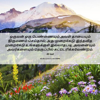 Picture 06 - லேவியராகமம் 20:14 TAMIRV - ஒருவன் ஒரு - Bible Verse Picture