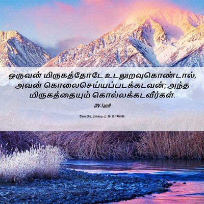 Picture 06 - லேவியராகமம் 20:15 TAMIRV - ஒருவன் - Bible Verse Picture