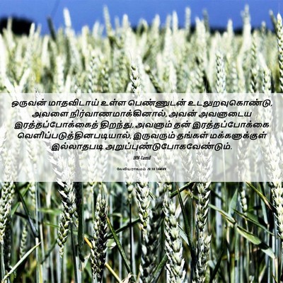 Picture 06 - லேவியராகமம் 20:18 TAMIRV - ஒருவன் மாதவிடாய் - Bible Verse Picture