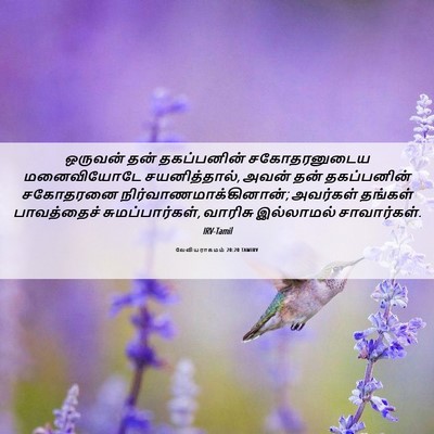 Picture 06 - லேவியராகமம் 20:20 TAMIRV - ஒருவன் தன் - Bible Verse Picture