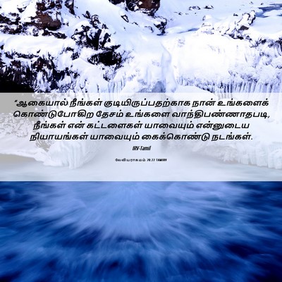 Picture 06 - லேவியராகமம் 20:22 TAMIRV - “ஆகையால் நீங்கள் - Bible Verse Picture