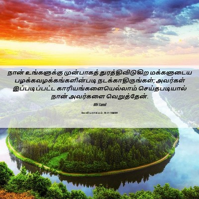 Picture 06 - லேவியராகமம் 20:23 TAMIRV - நான் உங்களுக்கு - Bible Verse Picture