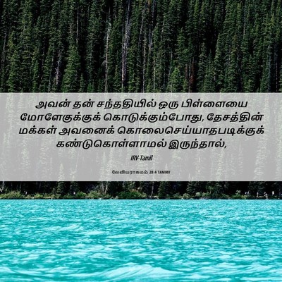 Picture 06 - லேவியராகமம் 20:4 TAMIRV - அவன் தன் - Bible Verse Picture