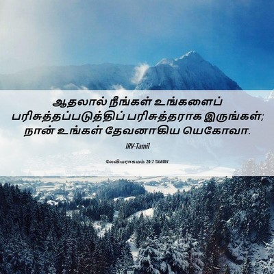 Picture 06 - லேவியராகமம் 20:7 TAMIRV - ஆதலால் நீங்கள் - Bible Verse Picture