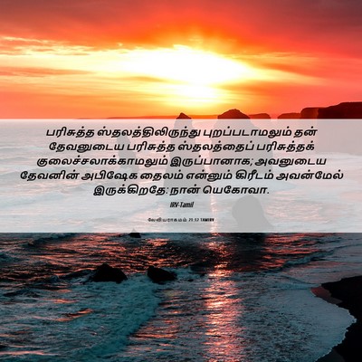 Picture 06 - லேவியராகமம் 21:12 TAMIRV - பரிசுத்த - Bible Verse Picture