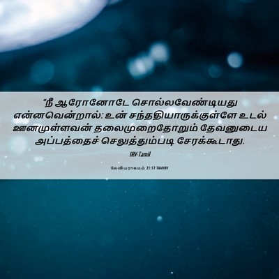 Picture 06 - லேவியராகமம் 21:17 TAMIRV - “நீ ஆரோனோடே - Bible Verse Picture