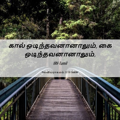 Picture 06 - லேவியராகமம் 21:19 TAMIRV - கால் - Bible Verse Picture