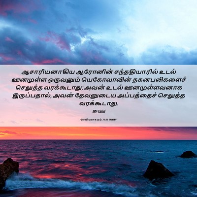 Picture 06 - லேவியராகமம் 21:21 TAMIRV - ஆசாரியனாகிய - Bible Verse Picture