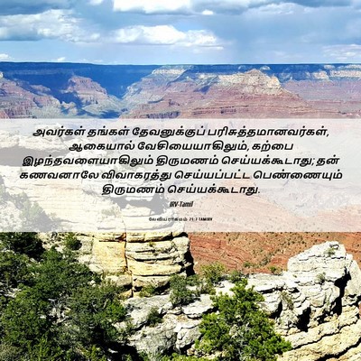 Picture 06 - லேவியராகமம் 21:7 TAMIRV - அவர்கள் தங்கள் - Bible Verse Picture