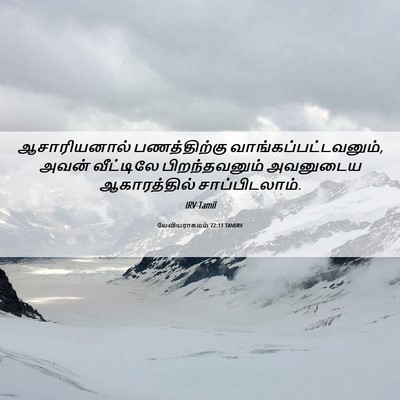 Picture 06 - லேவியராகமம் 22:11 TAMIRV - ஆசாரியனால் - Bible Verse Picture