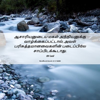 Picture 06 - லேவியராகமம் 22:12 TAMIRV - ஆசாரியனுடைய மகள் - Bible Verse Picture