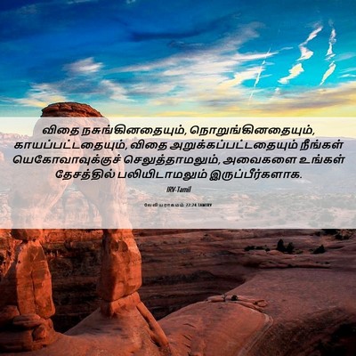Picture 06 - லேவியராகமம் 22:24 TAMIRV - விதை - Bible Verse Picture