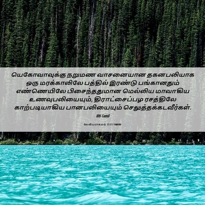 Picture 06 - லேவியராகமம் 23:13 TAMIRV - யெகோவாவுக்கு - Bible Verse Picture