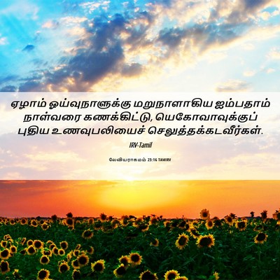 Picture 06 - லேவியராகமம் 23:16 TAMIRV - ஏழாம் - Bible Verse Picture