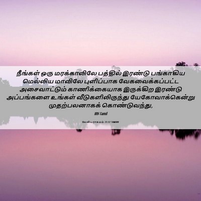 Picture 06 - லேவியராகமம் 23:17 TAMIRV - நீங்கள் ஒரு - Bible Verse Picture