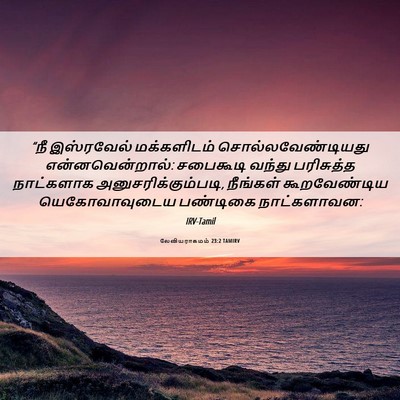 Picture 06 - லேவியராகமம் 23:2 TAMIRV - “நீ இஸ்ரவேல் - Bible Verse Picture
