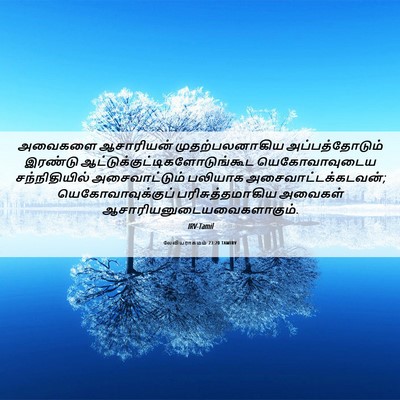 Picture 06 - லேவியராகமம் 23:20 TAMIRV - அவைகளை ஆசாரியன் - Bible Verse Picture