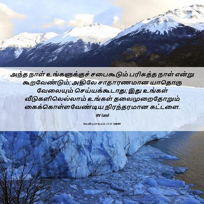 Picture 06 - லேவியராகமம் 23:21 TAMIRV - அந்த நாள் - Bible Verse Picture