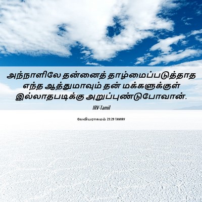Picture 06 - லேவியராகமம் 23:29 TAMIRV - அந்நாளிலே தன்னைத் - Bible Verse Picture