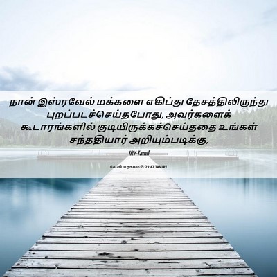 Picture 06 - லேவியராகமம் 23:42 TAMIRV - நான் இஸ்ரவேல் - Bible Verse Picture