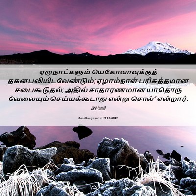 Picture 06 - லேவியராகமம் 23:8 TAMIRV - ஏழுநாட்களும் - Bible Verse Picture