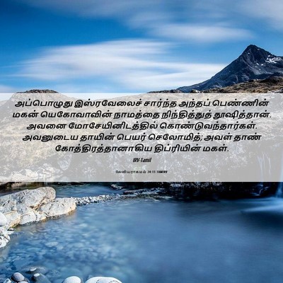 Picture 06 - லேவியராகமம் 24:11 TAMIRV - அப்பொழுது - Bible Verse Picture