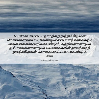 Picture 06 - லேவியராகமம் 24:16 TAMIRV - யெகோவாவுடைய - Bible Verse Picture