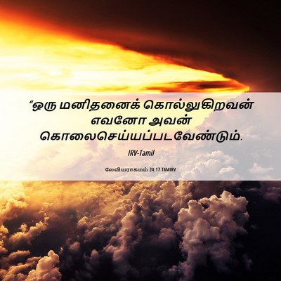 Picture 06 - லேவியராகமம் 24:17 TAMIRV - “ஒரு மனிதனைக் - Bible Verse Picture