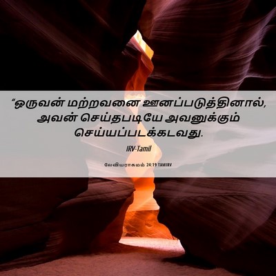 Picture 06 - லேவியராகமம் 24:19 TAMIRV - “ஒருவன் மற்றவனை - Bible Verse Picture