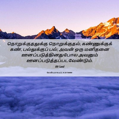 Picture 06 - லேவியராகமம் 24:20 TAMIRV - நொறுக்குதலுக்கு - Bible Verse Picture