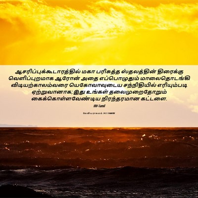 Picture 06 - லேவியராகமம் 24:3 TAMIRV -  - Bible Verse Picture