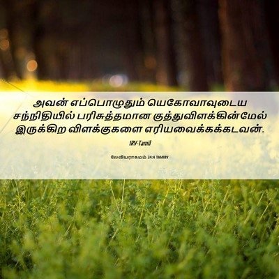 Picture 06 - லேவியராகமம் 24:4 TAMIRV - அவன் எப்பொழுதும் - Bible Verse Picture