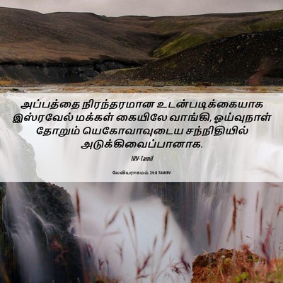 Picture 06 - லேவியராகமம் 24:8 TAMIRV - அப்பத்தை - Bible Verse Picture
