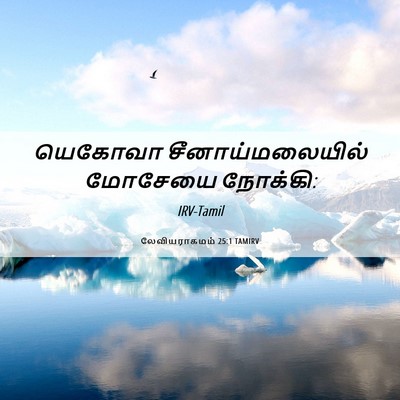 Picture 06 - லேவியராகமம் 25:1 TAMIRV - யெகோவா - Bible Verse Picture