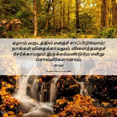 Picture 06 - லேவியராகமம் 25:20 TAMIRV - ஏழாம் வருடத்தில் - Bible Verse Picture