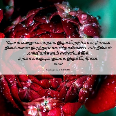 Picture 06 - லேவியராகமம் 25:23 TAMIRV - “தேசம் - Bible Verse Picture