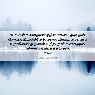 Picture 06 - லேவியராகமம் 25:25 TAMIRV - “உங்கள் சகோதரன் - Bible Verse Picture